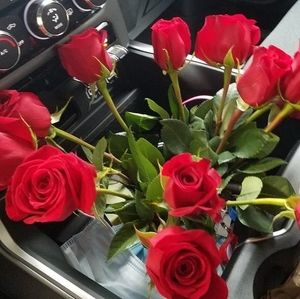 Meet your Posher, Hallie